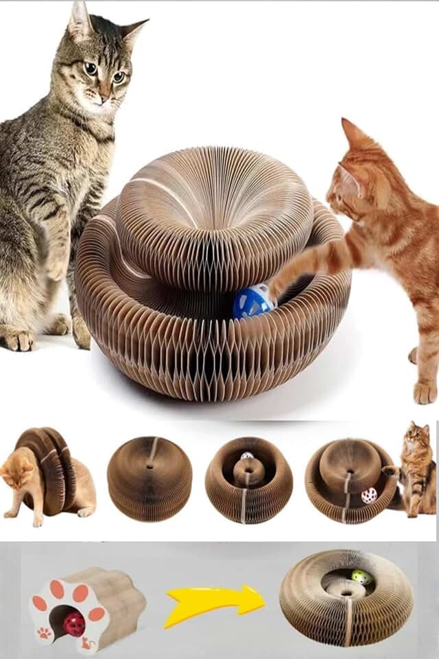 PET-SCR-CRD